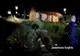 VIDEO 8 urși îndepărtați de jandarmi, aseară, la Băile Tușnad