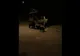 Urşi prezenți, azi-noapte, în două localități din județul Harghita