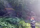 Incendiu de fond forestier, în județul Harghita