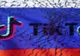 TikTok și-a suspendat o serie de servicii în Rusia, ca urmare a legii date de Vladimir Putin