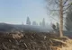 VIDEO 50 de hectare de vegetație uscată afectate de un incendiu!