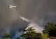 Stare de urgență la Roma. Un incendiu a izbucnit într-un parc de lângă celebrul Colosseum VIDEO/FOTO