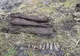 3 bombe descoperite în Valea Uzului