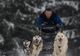 Concurs de atelaje canine la Borsec