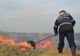 Incendiu de vegetaţie, la Gheorgheni