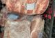 Amenzi de 97.000 de lei şi un sfert de tonă de carne confiscată de poliţiştii din Harghita