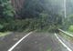 Circulaţia rutieră şi feroviară întreruptă la Miercurea Ciuc, din cauza copacilor căzuţi