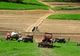 Prețurile terenurilor agricole în Harghita, între 4.000 și 7.000 de euro/ ha