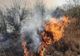 Incendiul de vegetaţie de la Mediaş, Gheorgheni, lichidat de pompierii harghiteni după aproape 20 de ore
