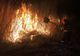 Un nou incendiu de vegetație uscată. Pompierii harghiteni intervin în apropiere de Lacu Roșu