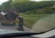 Cruzime fără margini! Câine legat cu lanțul de o căruță, și târât pe un drum din Harghita